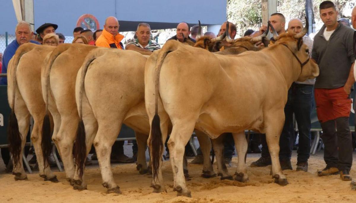 El concurso de tortillas de las fiestas riosanas. | JOSÉ LUIS CABO SARIEGO