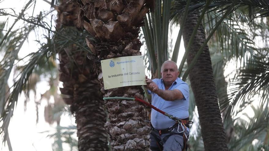 El Palmeral y el calzado se unen como nunca en Elche