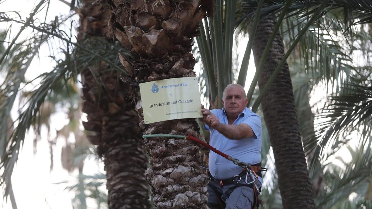 La palmera dedicada a la industria del calzado en el Parque Municipal en el 23 aniversario del Patrimonio de la Humanidad.