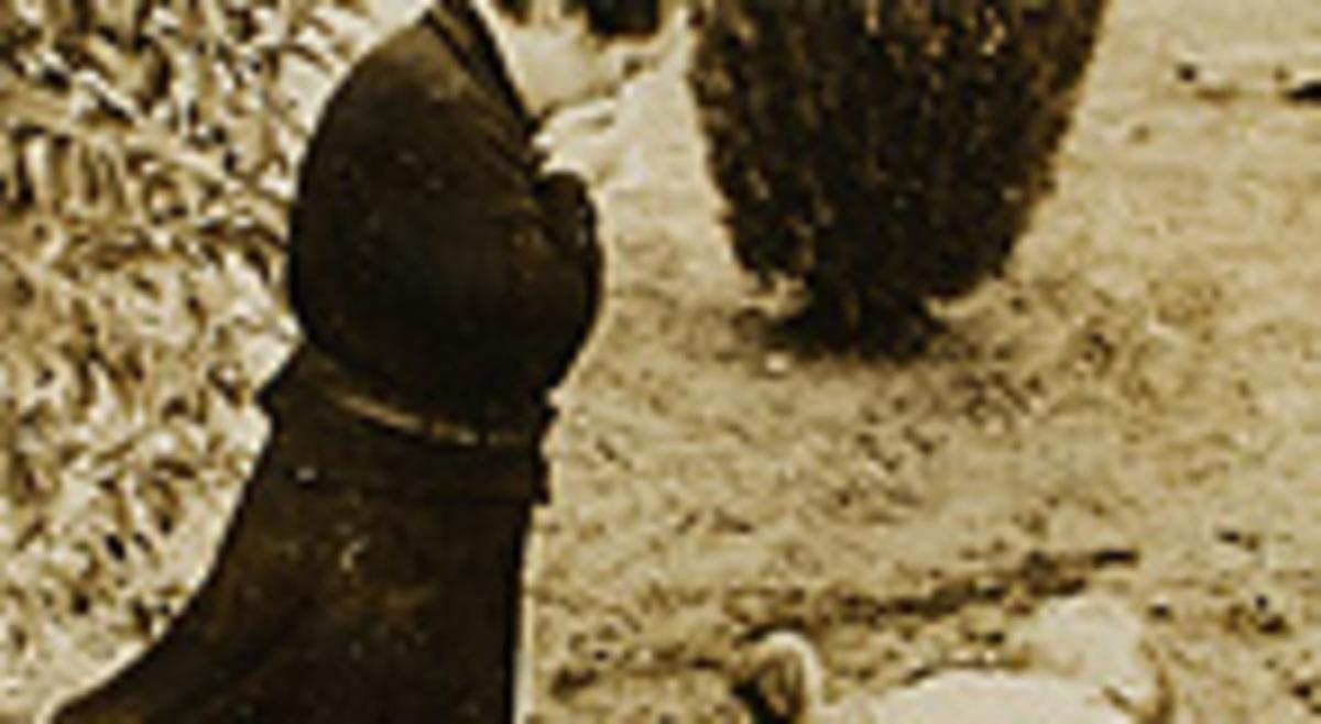 El bombardeig de Lleida del 1937, una de les imatges que es volien quedar les tres institucions. El bombardeig de Lleida del 1937, una de les imatges que es volien quedar les tres institucions.