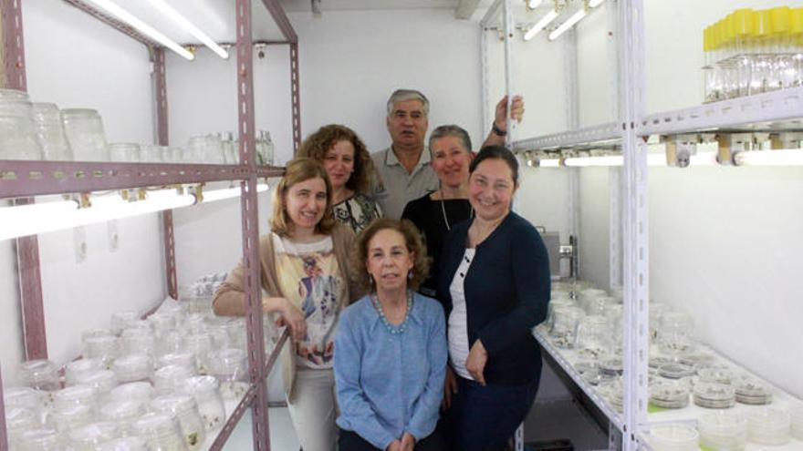 Ana María Viéitez (centro), con el resto del equipo de investigadores. // CSIC
