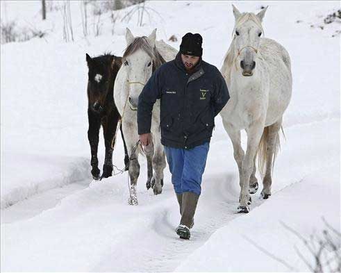 La nieve pinta de blanco España