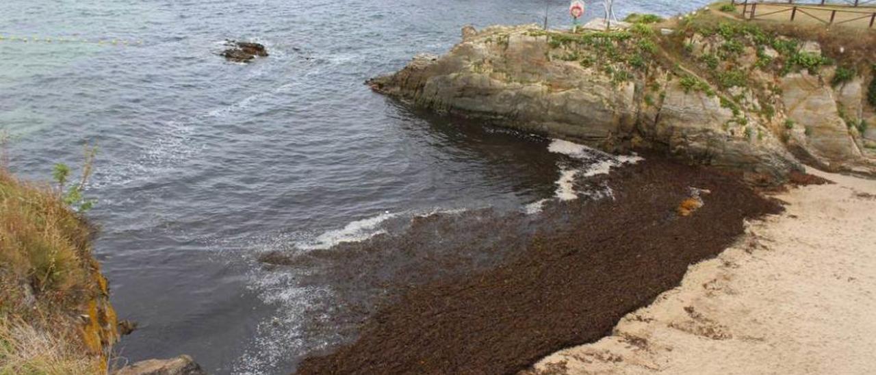 La playa tapiega de A Ribeiría, ayer por la mañana, repleta de algas.