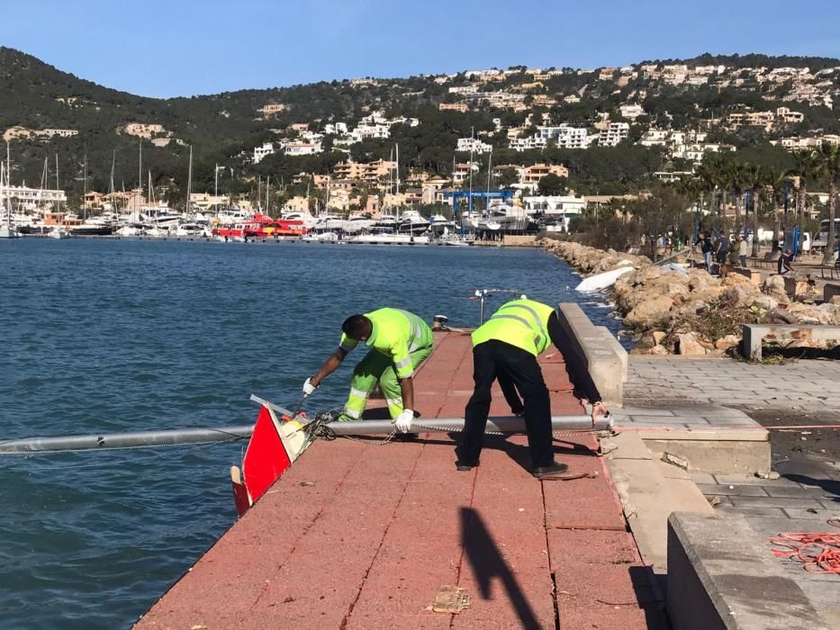 El Port d'Andratx tras el temporal