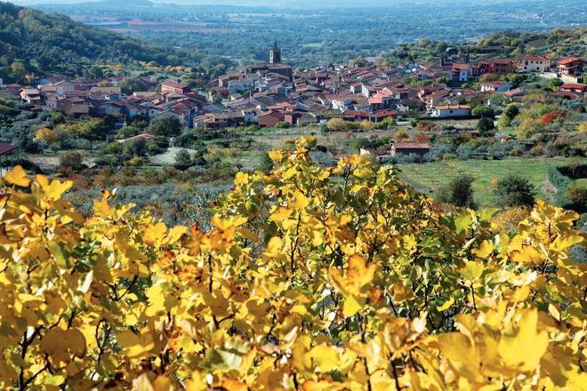 Pasarón de la Vera, La vera