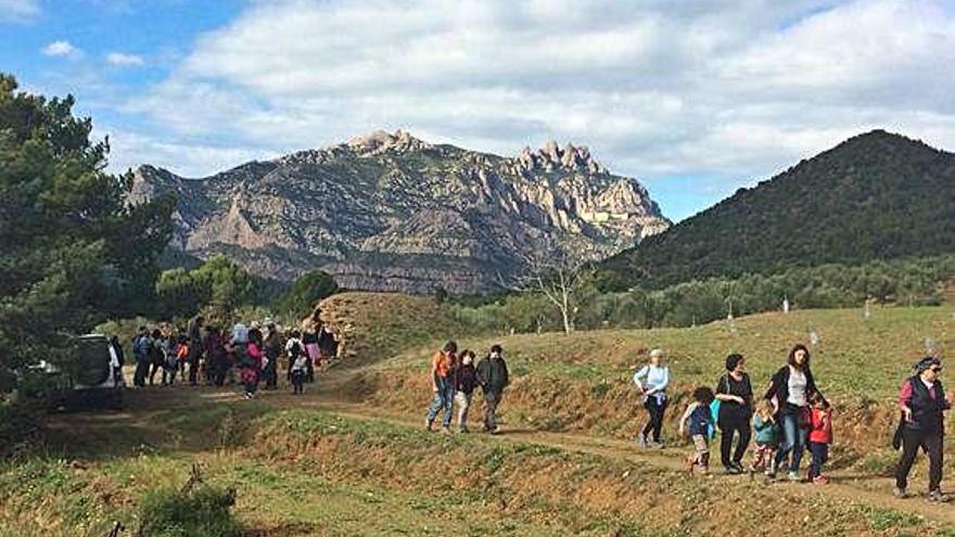 Caminades del «Fem Salut, Olesa!»