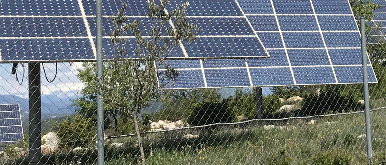 Placas fotovoltaicas.