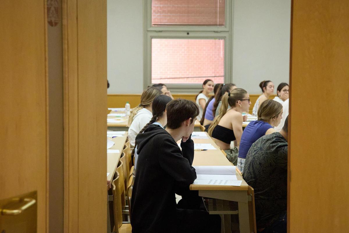 Tres de cada 10 estudiantes internacionales en España vive en Madrid.