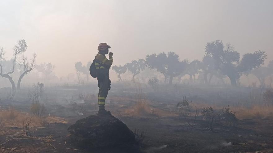 Un agente contraincendios en el fuego de Moral de Saygo.