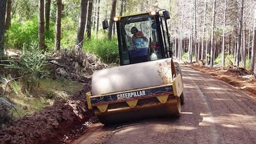 Distintos momentos de los trabajos que se están llevando a cabo en seis montes públicos de la Región.