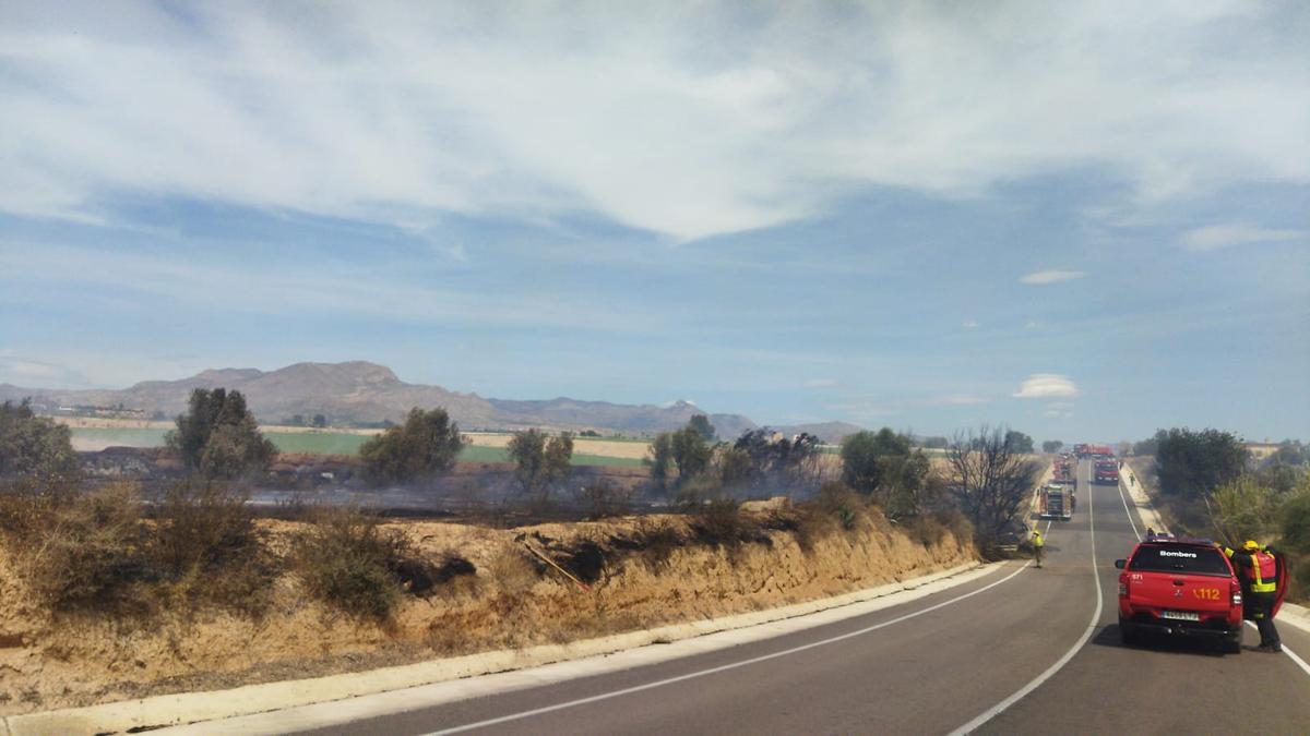 La carretera de Aspe a Monforte cortada mientras los bomberos extinguían las llamas.
