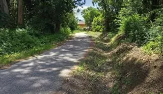 El Concello adjudica  a Otero Forestal el plan de desbroces