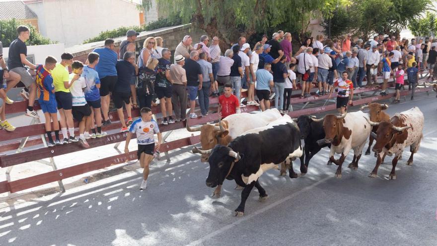 Las reses de El Rellano protagonizaron el séptimo entierro de las Fiestas. | ENRIQUE SOLER