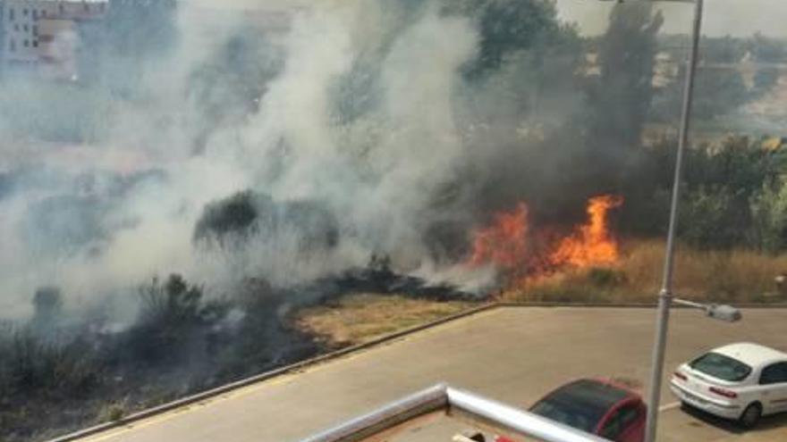 Incendi de vegetació a tocar les cases a Cassà