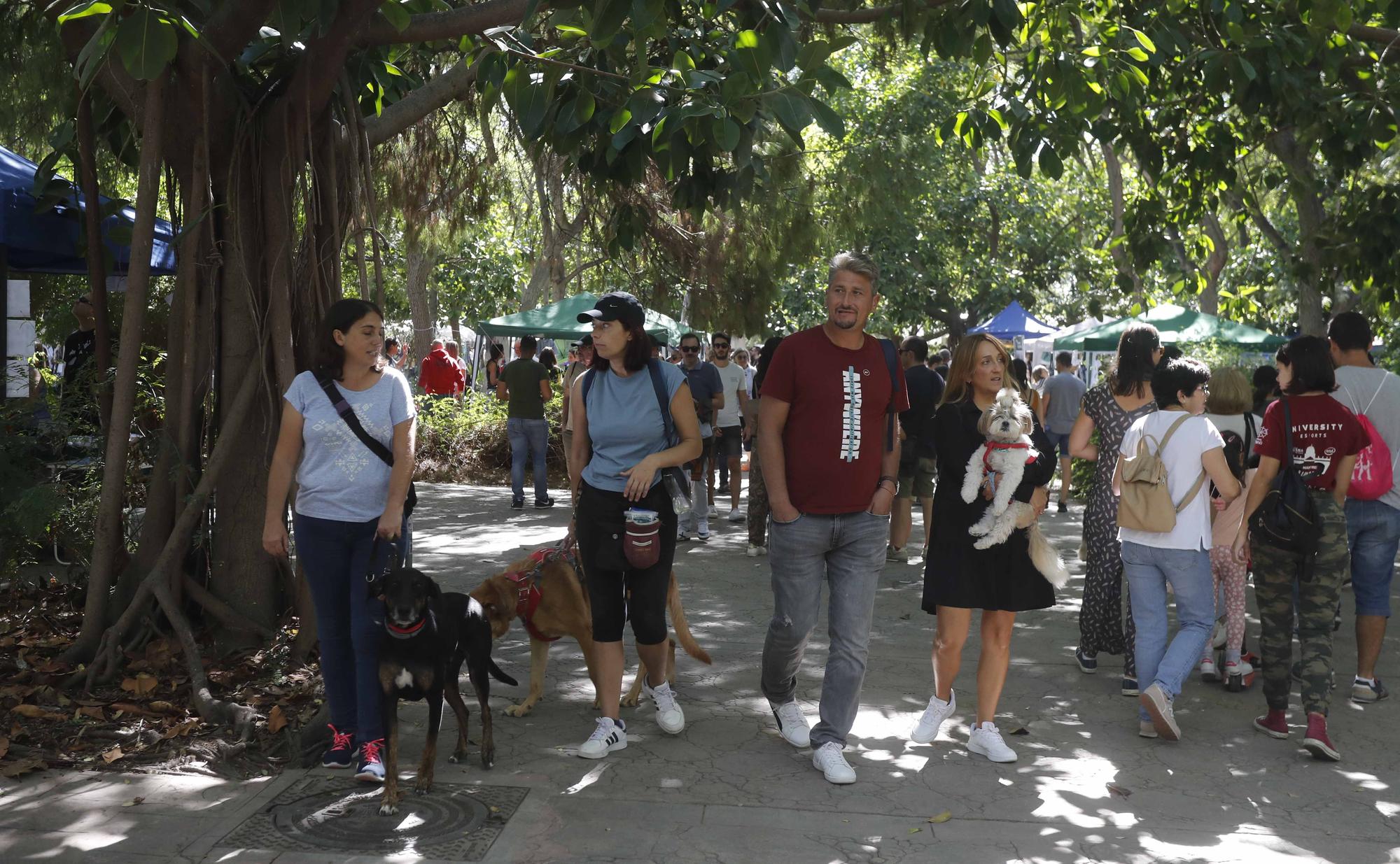 La Feria Animalista de València, en imágenes