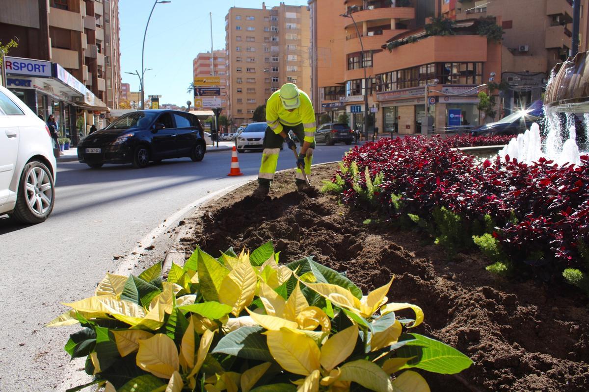 Operarios municipales llevan a cabo la plantación de las flores ornamentales.