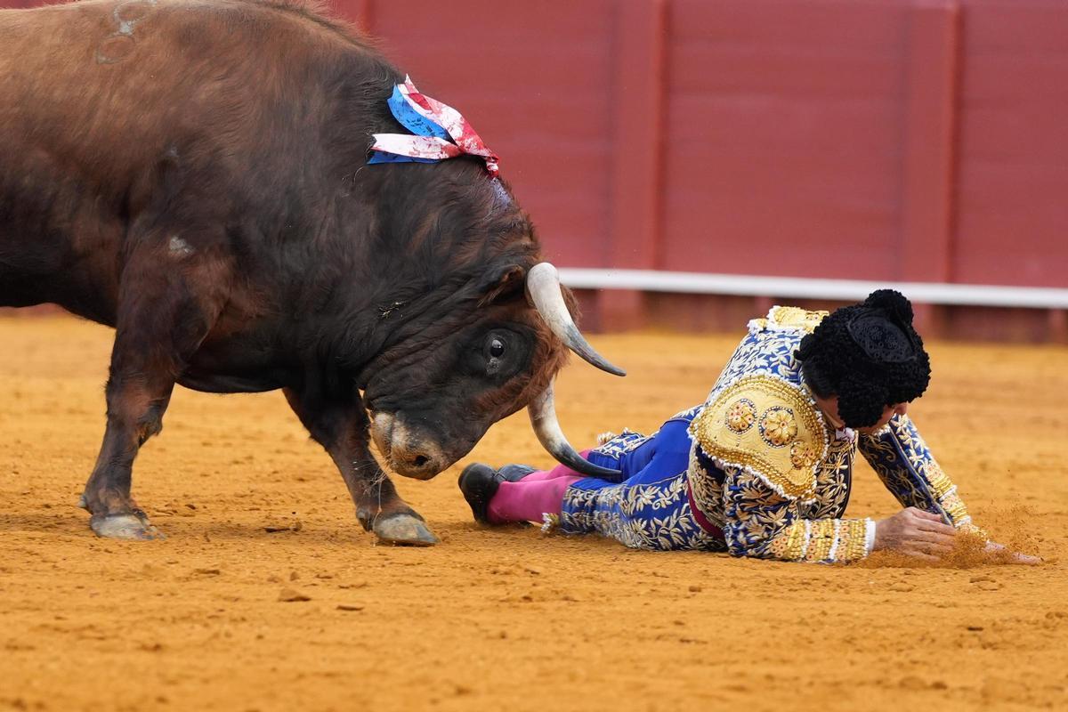 Instante en el que Morante es corneado.