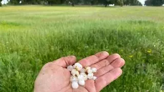 Una intensa granizada sorprende a Palacios del Pan durante varios minutos