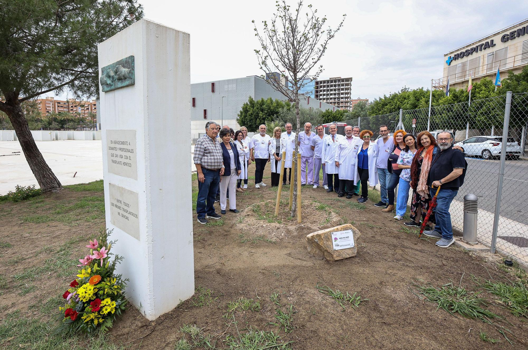 Día del donante de órganos y tejidos en Alicante