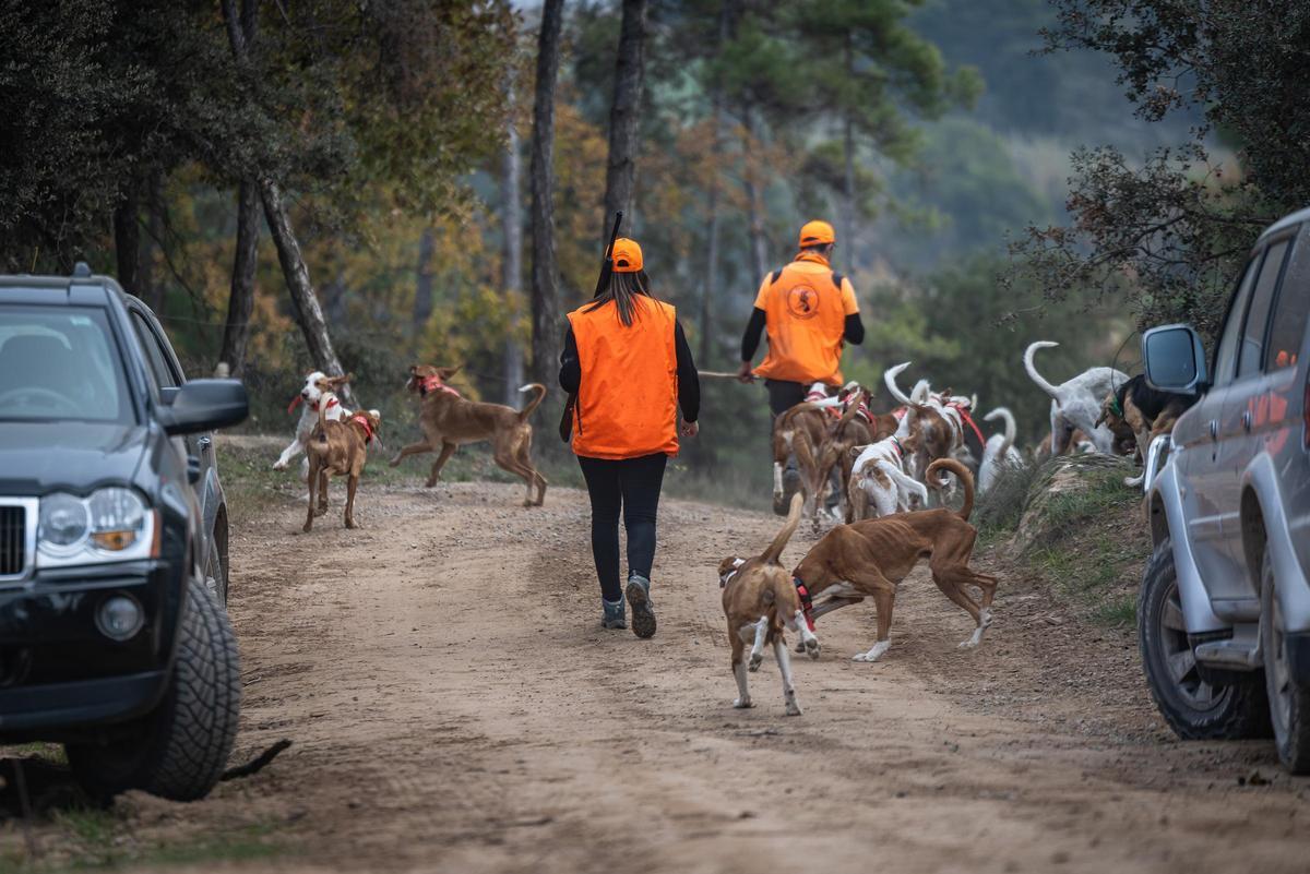 Caçadors en el focus
