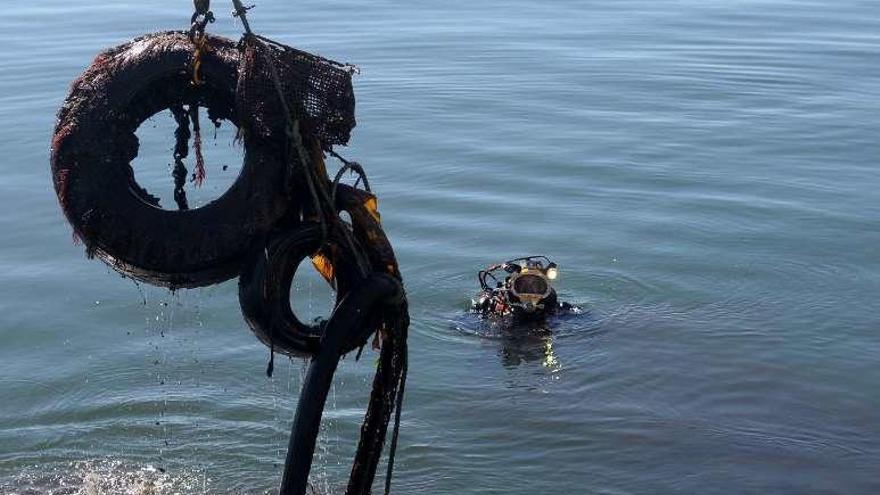 Trabajos de retirada de los residuos en la línea de atraque del puerto de Tragove. // N. P.