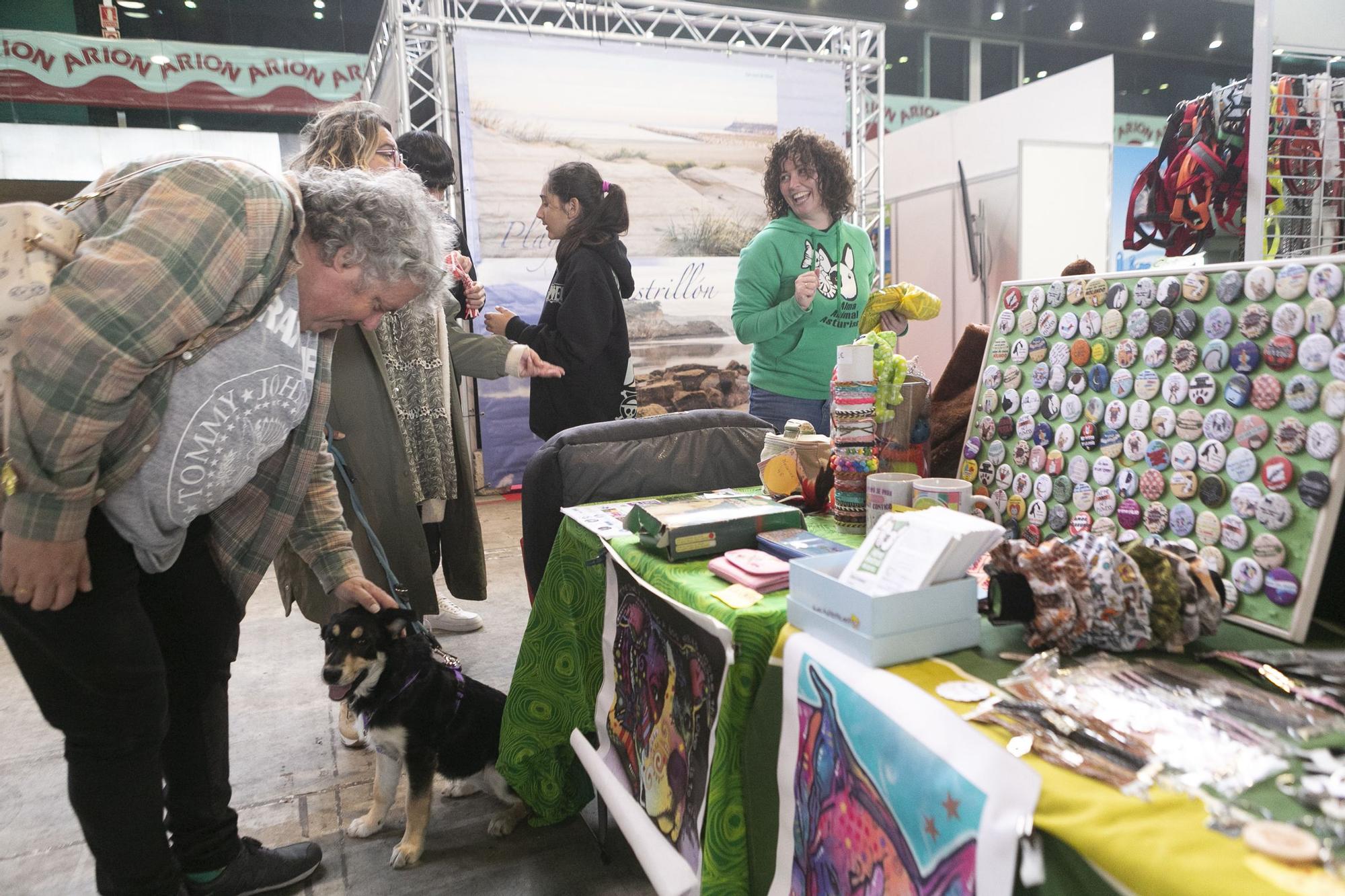 Inauguración del salón asturiano de las mascota.