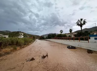 El sector agrícola reza por un fin de semana de nuevas lluvias para poder aliviar la pertinaz sequía