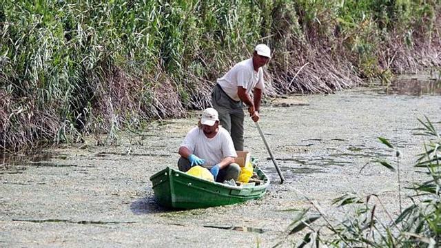 El parque natural está integrado principalmente por dos charcas, la de Levante y la de Poniente