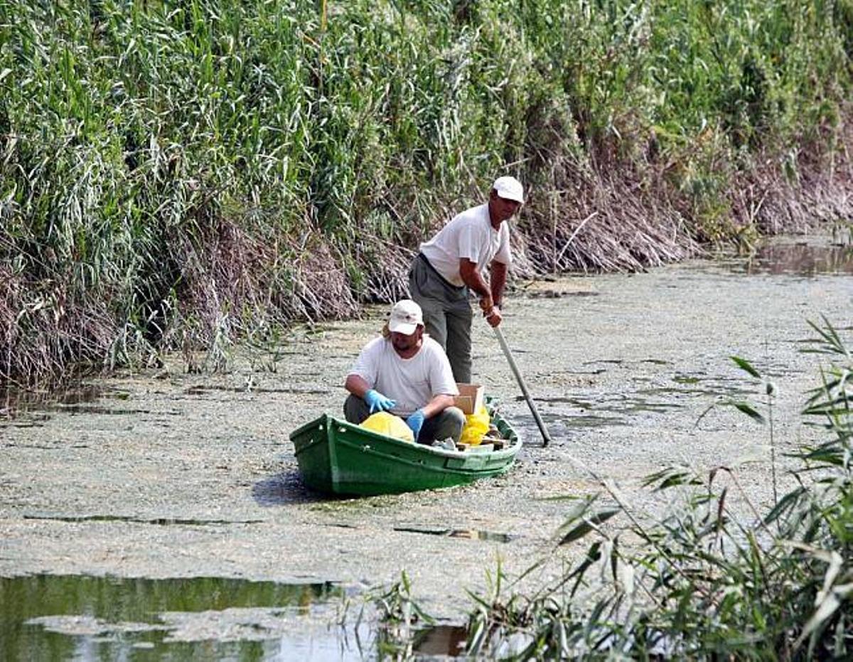 El parque natural está integrado principalmente por dos charcas, la de Levante y la de Poniente