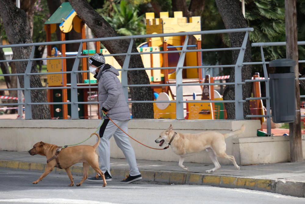 Las imágenes del día en la ciudad