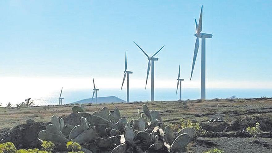 El Cabildo pretende frenar el parque eólico de seis megavatios en Teguise