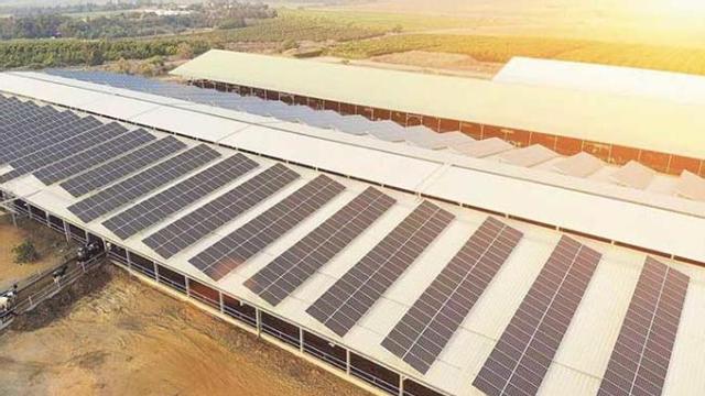 Sistema de generació d'energia fotovoltaica instal·lat a la teulada d'una granja lletera. Fotovol
