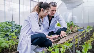 La Universidad de Córdoba lanza una guía sobre sostenibilidad para las pymes agroalimentarias