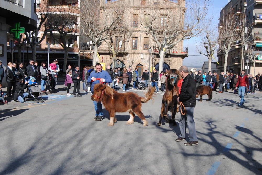 Festa de Sant Antoni a Solsona