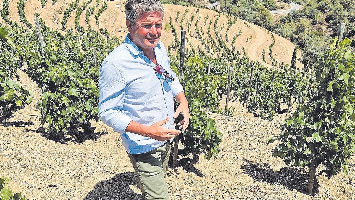 Álvaro Palacios se ha consolidado como uno de los grandes señores del vino en España, uno de los pocos negocios en que este país es líder mundial