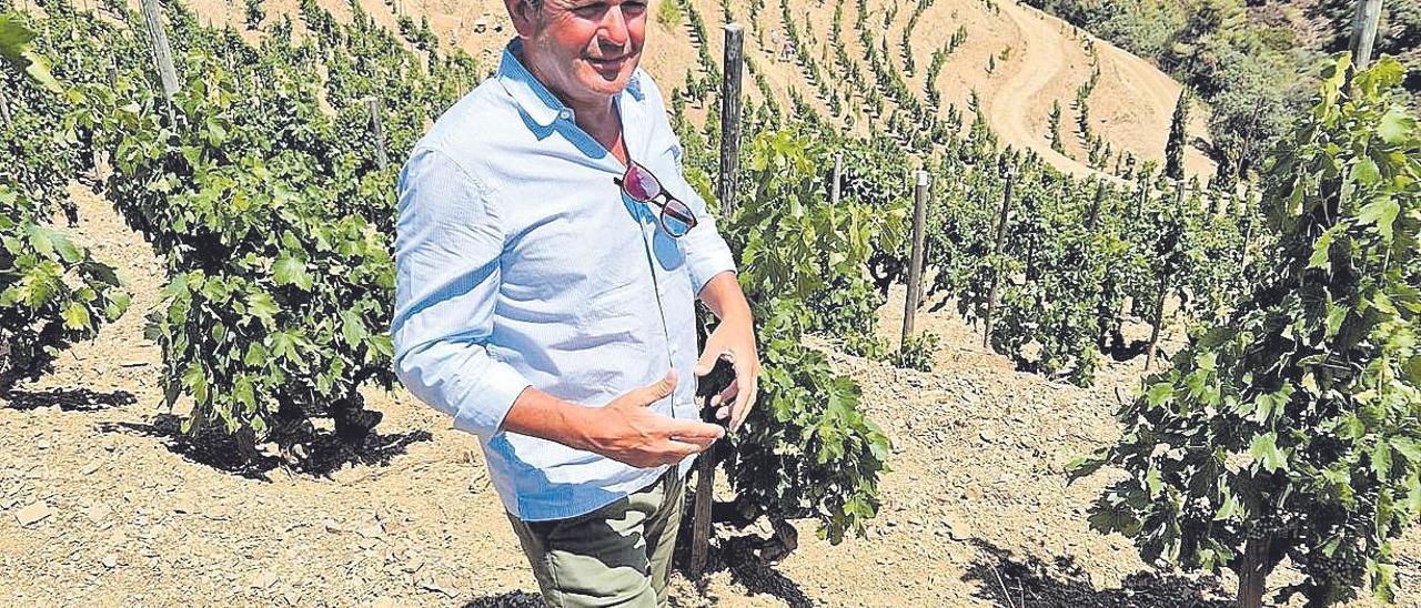 Álvaro Palacios se ha consolidado como uno de los grandes señores del vino en España, uno de los pocos negocios en que este país es líder mundial