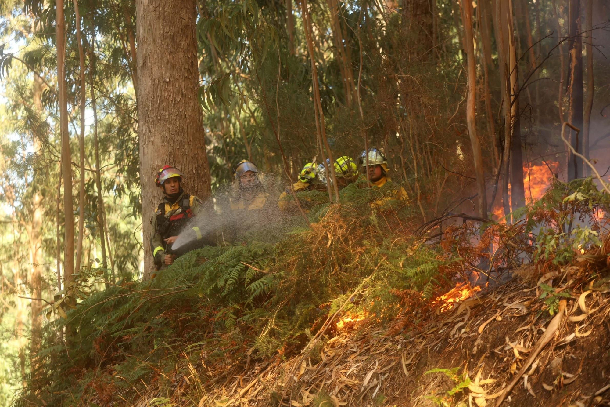 Espectacular incendio forestal en Meaño