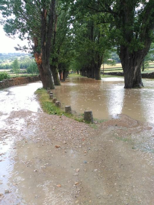 Temporal en Vilafranca