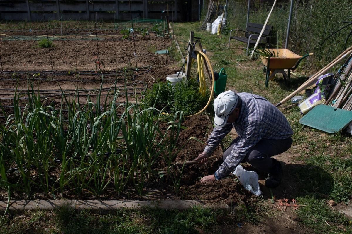GALERÍA | Huertos municipales en Zamora: Creando comunidad entre tomates y cebollas