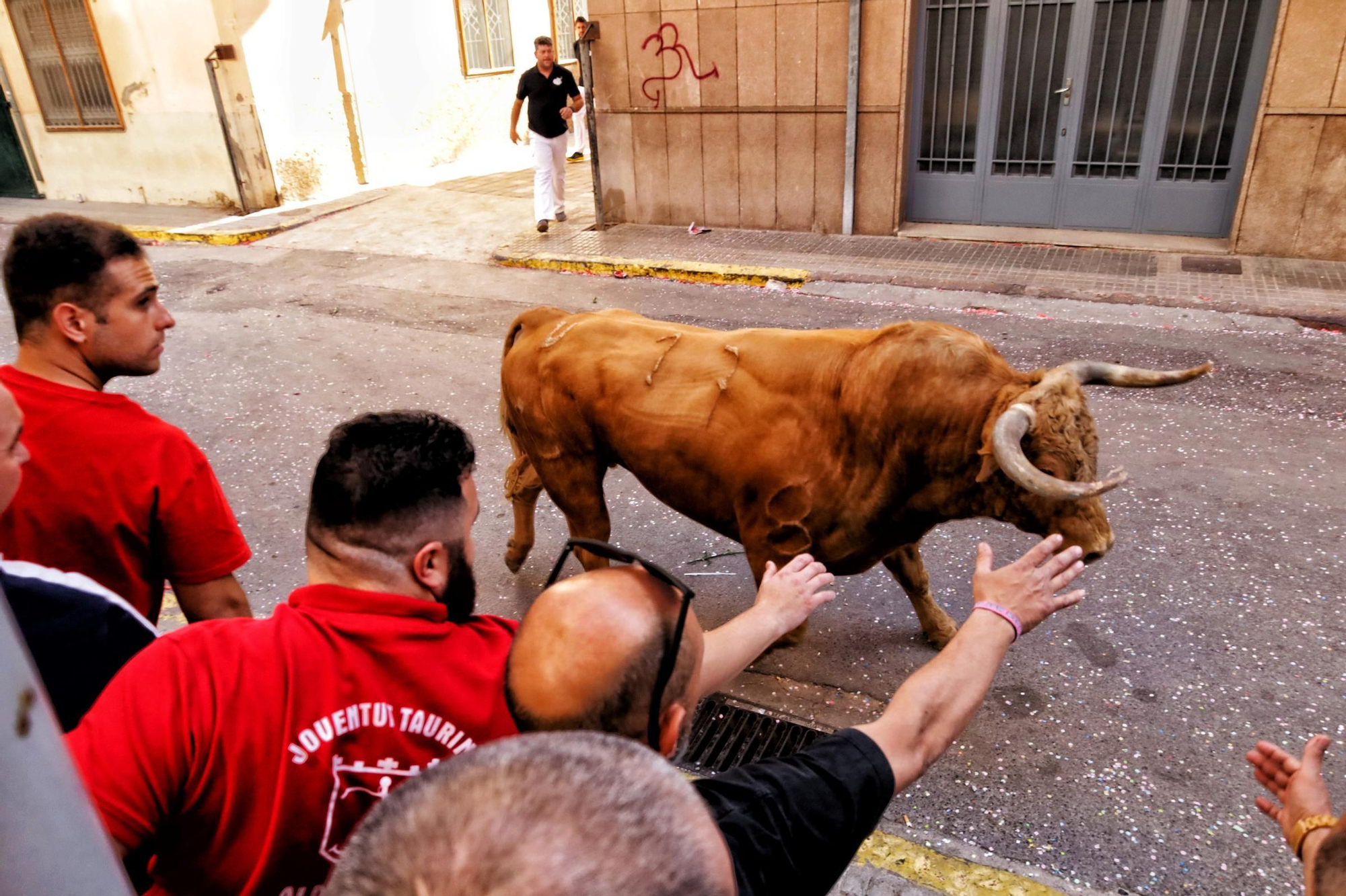 MACROGALERÍA DE FOTOS: Búscate en el encierro y los primeros 'bous' de las fiestas de Almassora