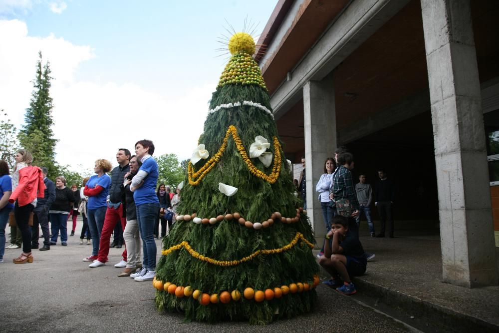 El colegio de O Foxo conmemora sus cuatro décadas