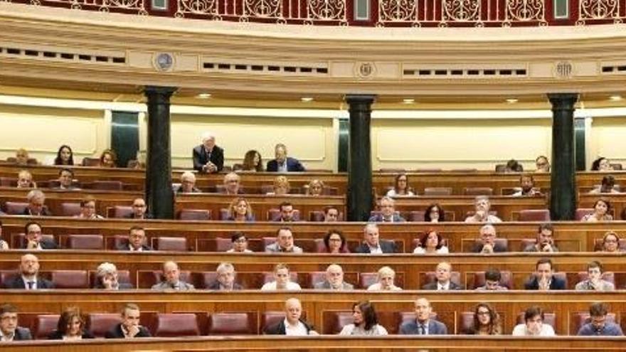 El Congreso de los Diputados.