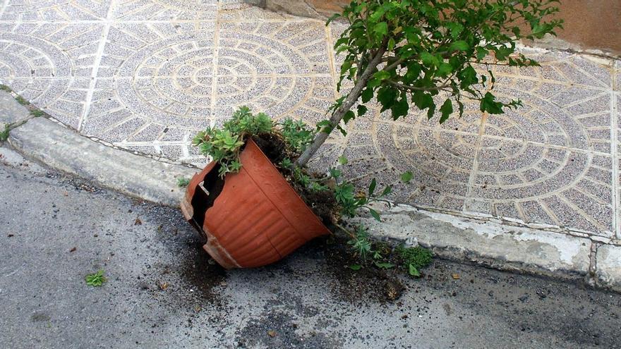 Una curiosa pelea a macetazos en una ciudad de la Comunitat Valenciana