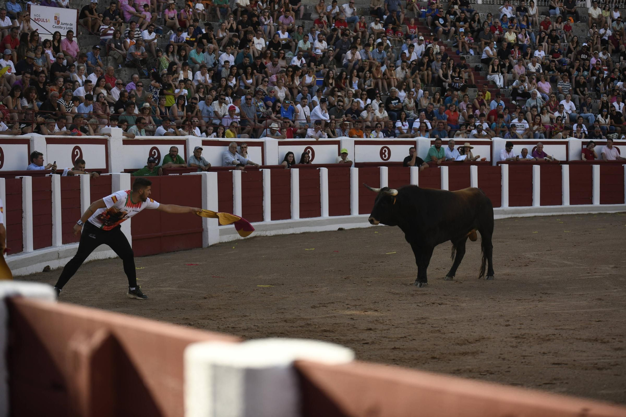 Concurso Recortadores San Pedro 2025
