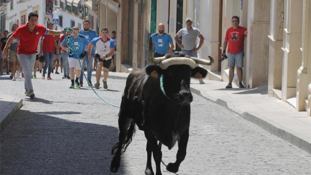 Suspendidas la suelta del toro de cuerda de Carcabuey y la fiesta de la Alcaparra de Fuente Tójar