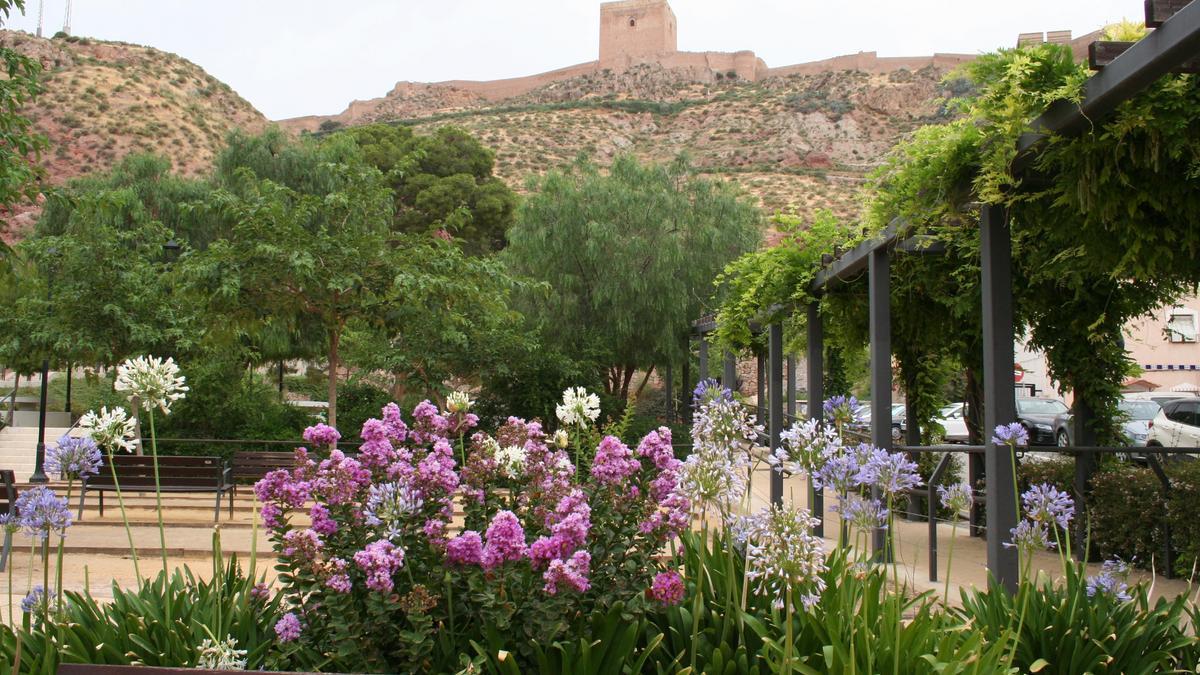 Flores en el Parque de las Mujeres con la Torre Alfonsina al fondo.