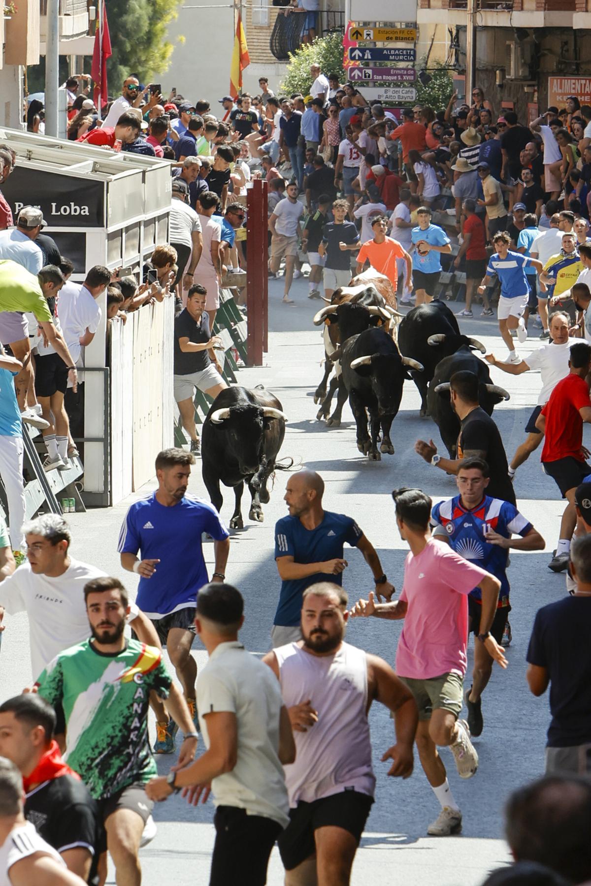 Tercer encierro de la Feria Taurina de Blanca.