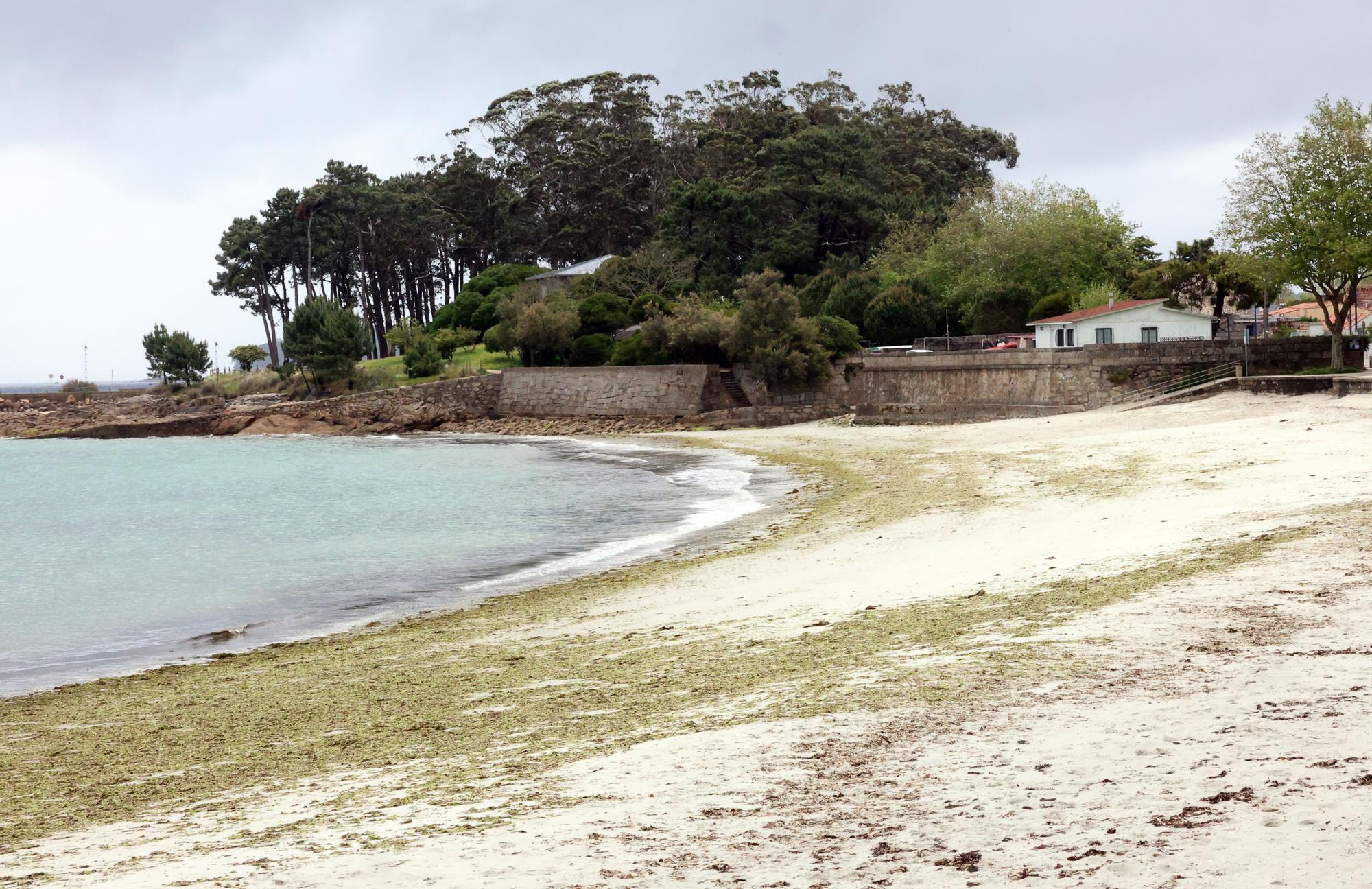 Estado actual de la playa, con el muro a la dcha. y, al fondo, el club de remo.