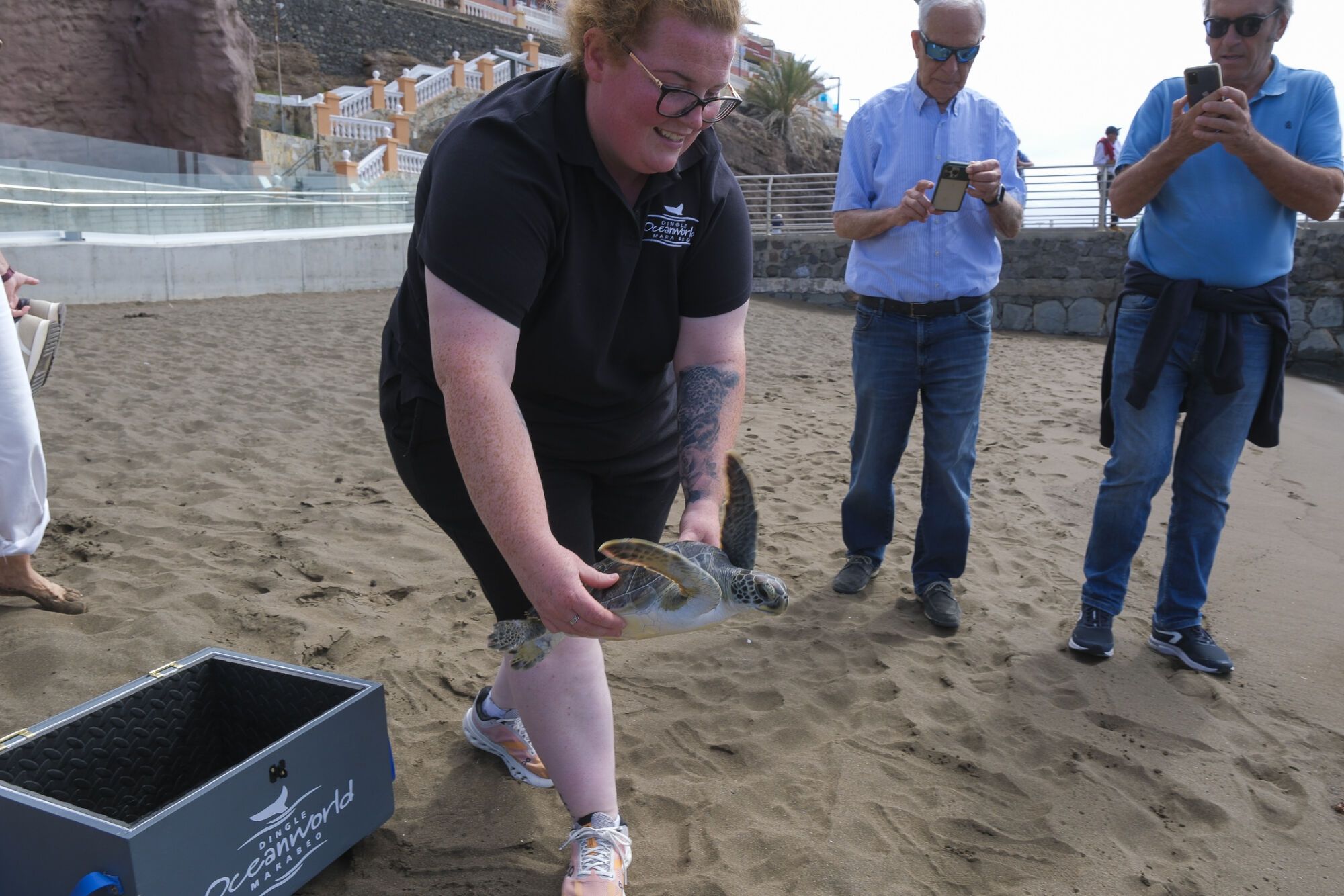 Liberan una tortuga en Telde