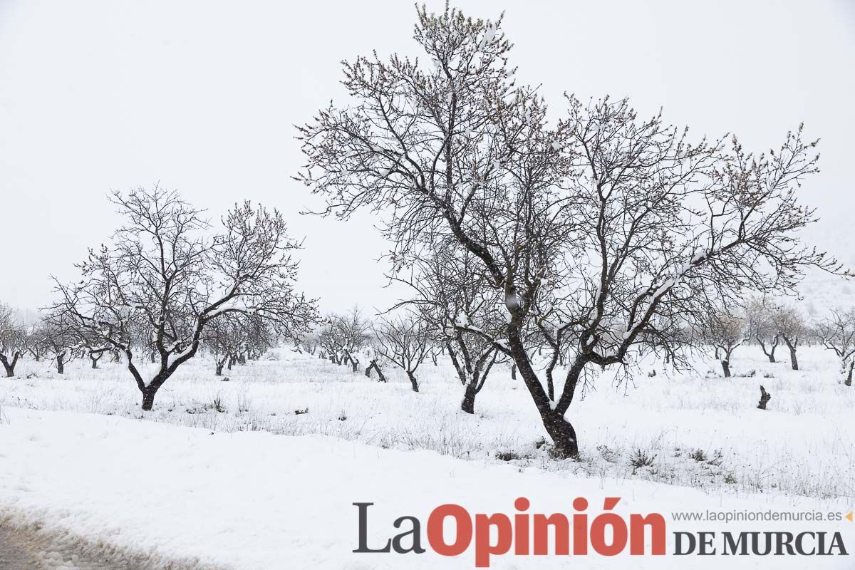 Continúa la nevada en las zonas altas de la comarca del Noroeste